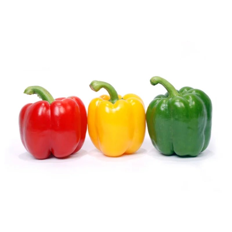 3 Color Bell Peppers (Size M) - Bangkok FreshLink