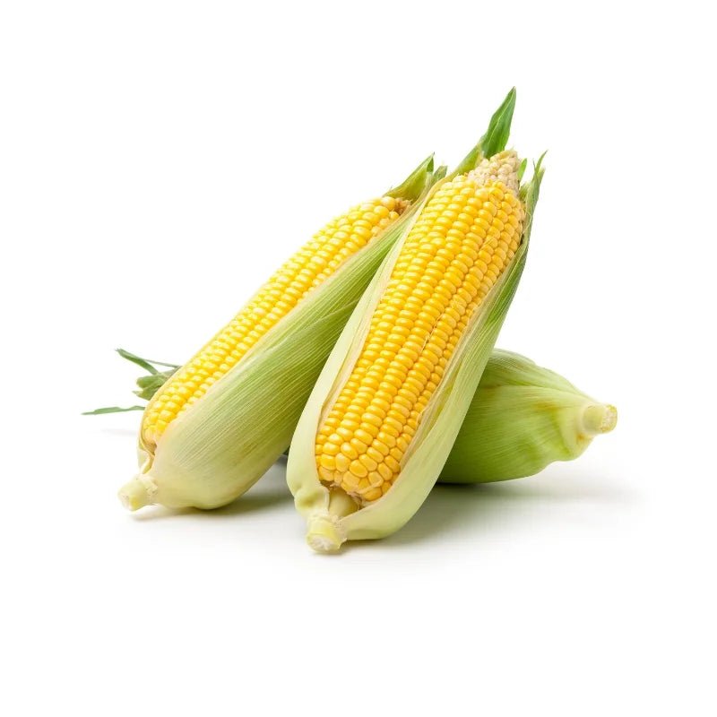 Sweet Corn 3–4 Cobs Per kg - Bangkok FreshLink