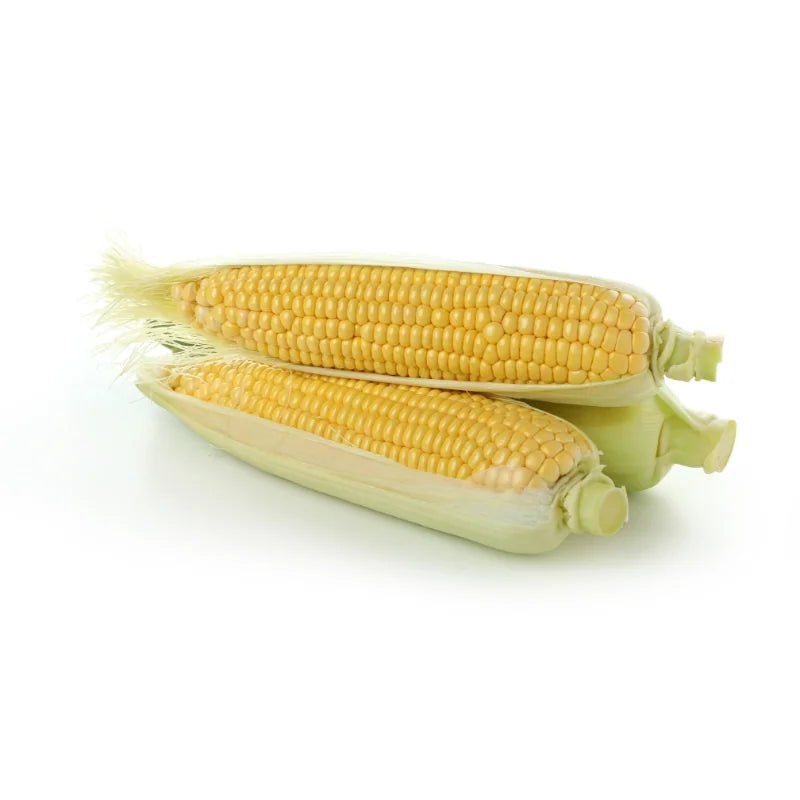 Sweet Corn Half Husked, 3 Ears per Pack Per kg - Bangkok FreshLink