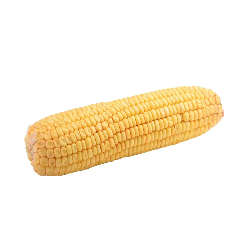 Sweet Corn Husked, 3–4 Ears per kg