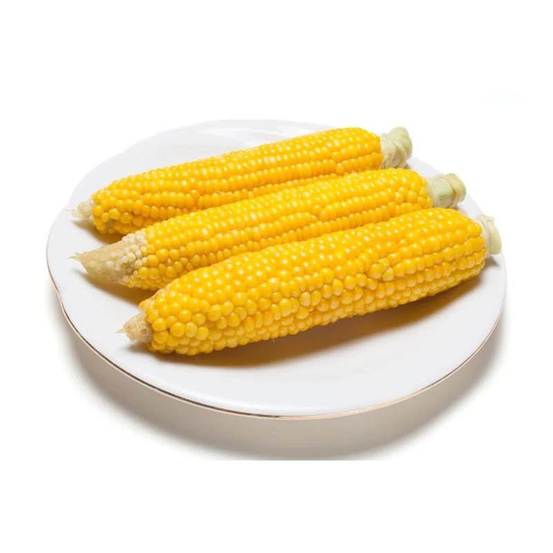 Sweet Corn Husked, 3–4 Ears per kg, 1kg per Pack - Bangkok FreshLink
