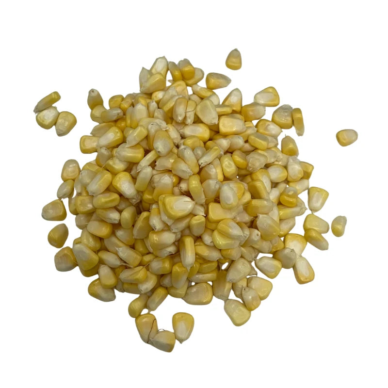 Sweet Corn Kernels Per kg