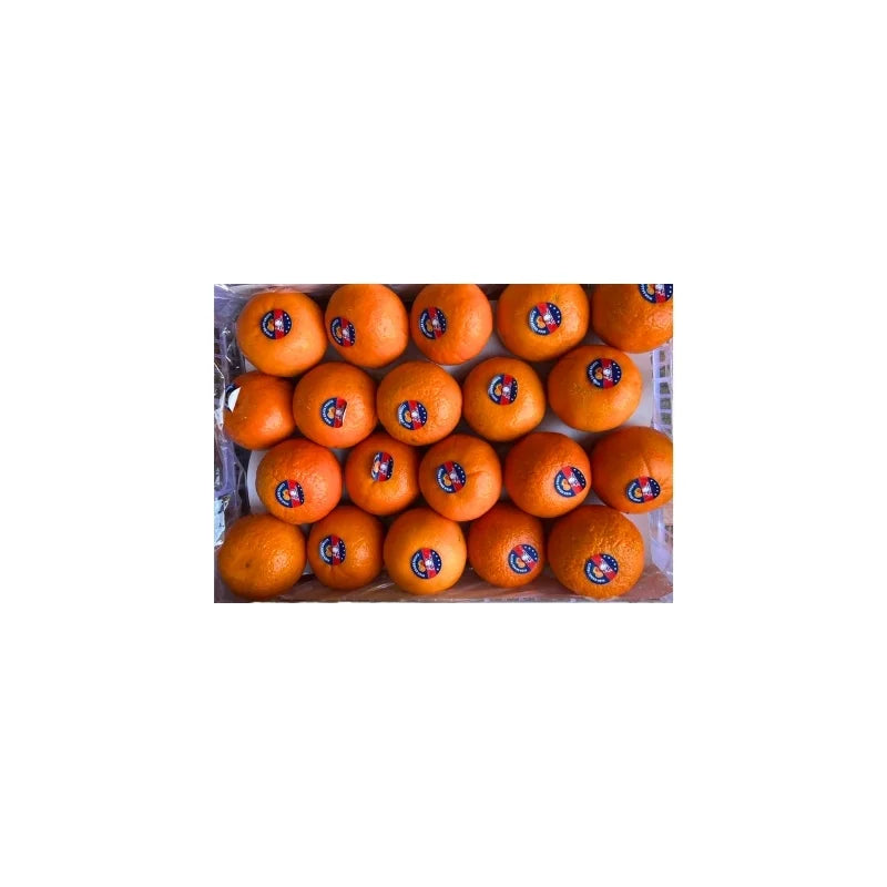 Taiwan Orange 4.5-5 kg Per Basket