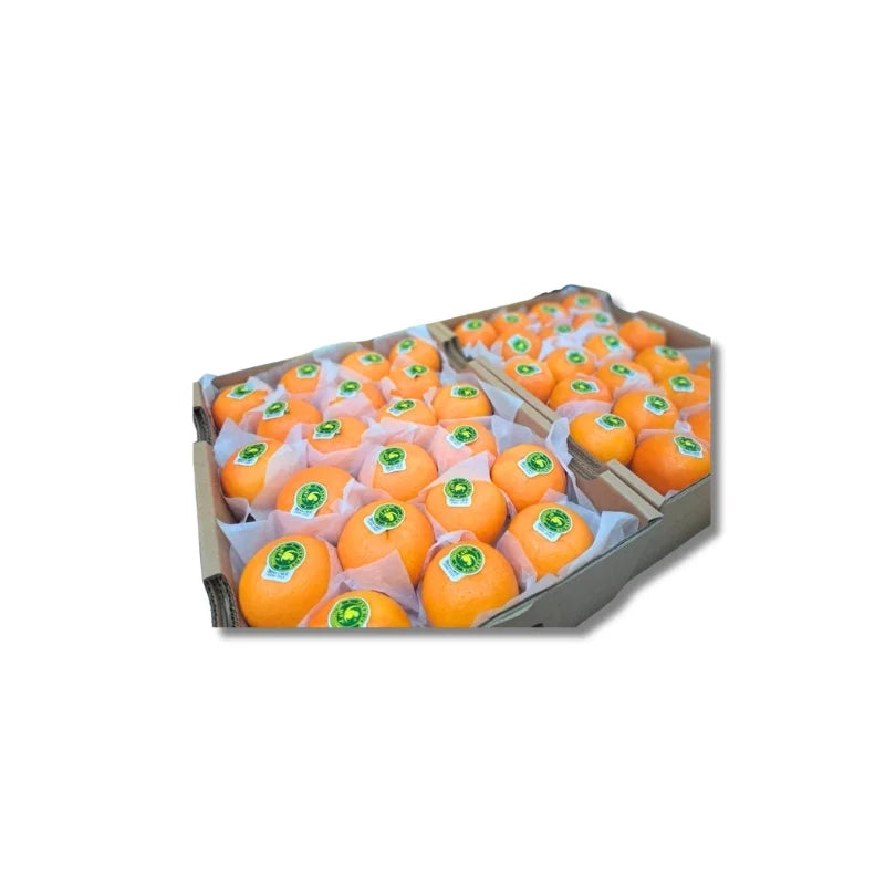 Taiwan Orange Parrot Brand Size L 6.5-7kg Per Box