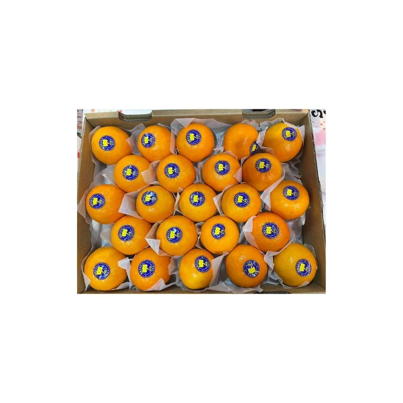 ส้มไต้หวัน ไซส์L-2XL 6.5-7กก./กล่อง