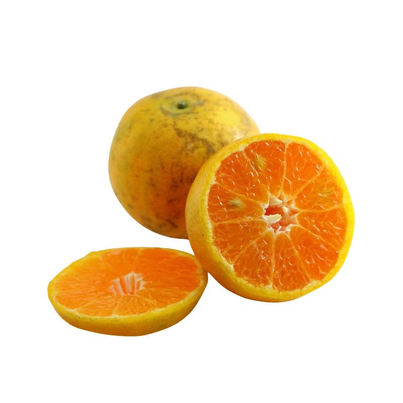 Tangerines size 0 on a white background