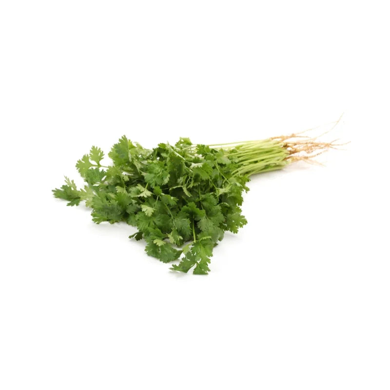 Thai Coriander 250g