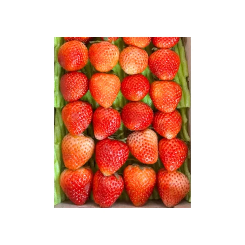 สตรอว์เบอร์รี่ไทย แพ็คละ