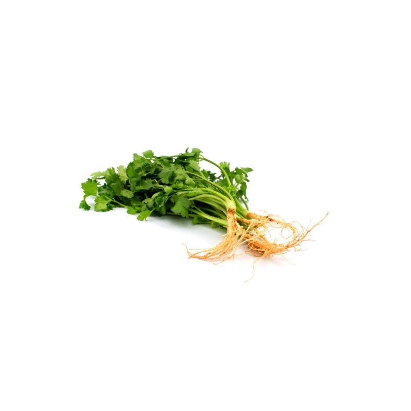 Fresh Thai coriander leaves, aromatic herb greens, 100g pack isolated on white background