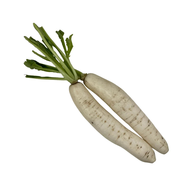 Thai Daikon Radish Selected Size, 5kg per Bag