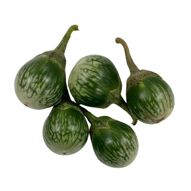 Thai Eggplant Premium Grade Per kg