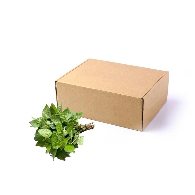 Fresh Thai sweet basil leaves, aromatic green herb, 5kg bulk pack isolated on white background