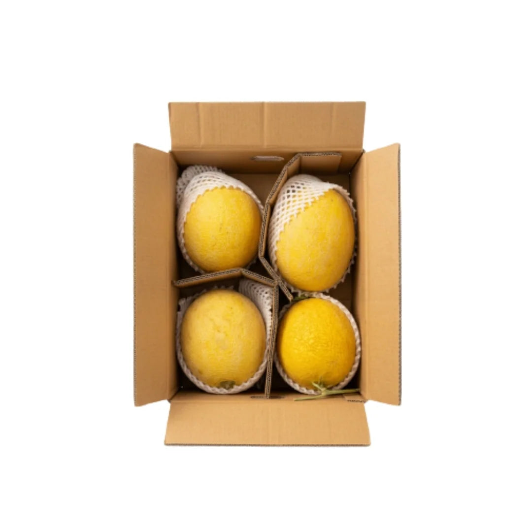 Tibetan Melon 10kg Box