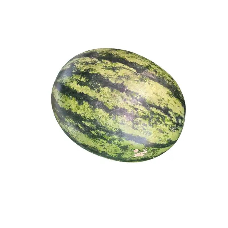 Sonia watermelon on a white background