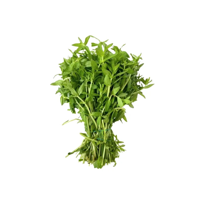 Fresh Vietnamese Coriander 500g pack on white background — aromatic herbs perfect for soups, curries, and Thai salads.