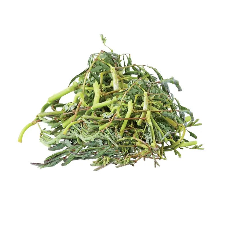 Water Mimosa (Trimmed) Per kg - Bangkok FreshLink