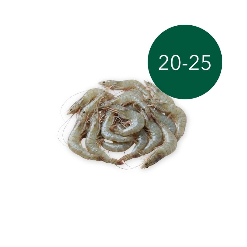 กุ้งขาว (20-25 ตัว/กก.)