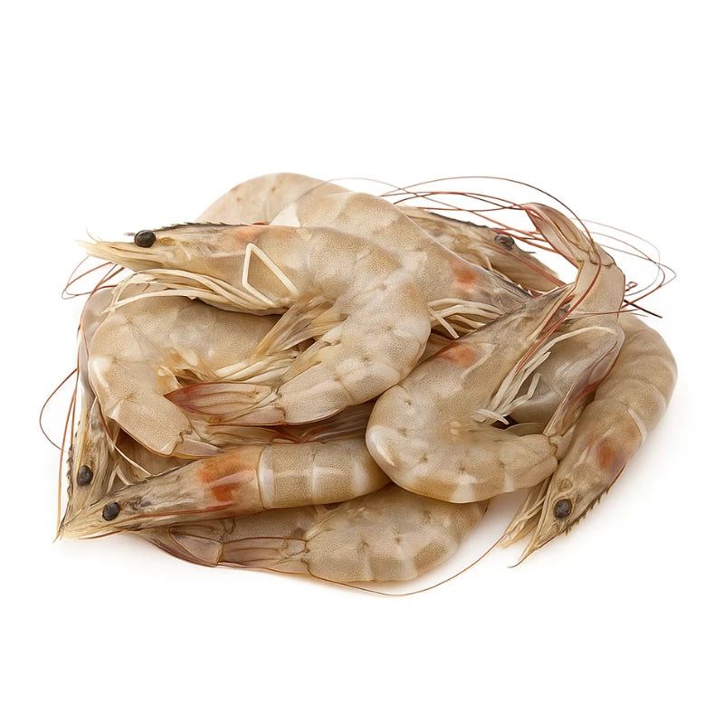 White Shrimp Extra Large Size 19 to 20 Per kg