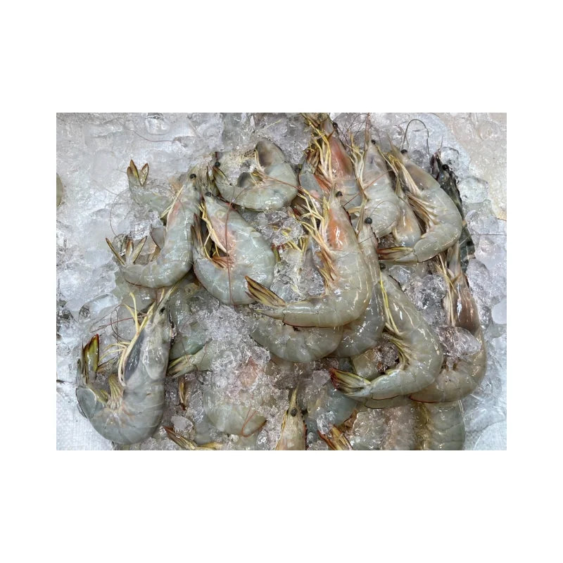 White Shrimp Size 15–18 Pieces/kg Per kg