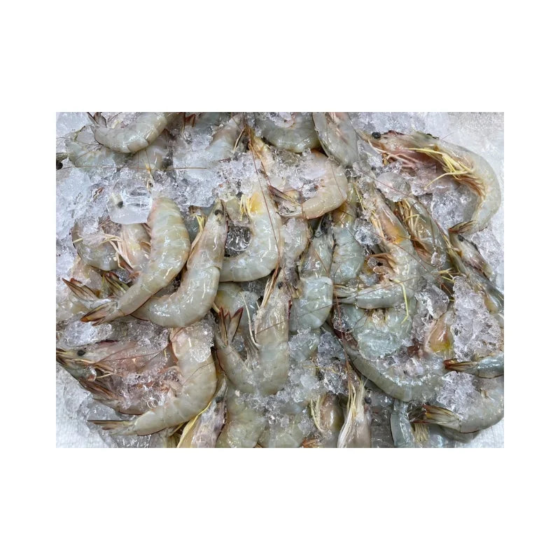White Shrimp Size 20 Pieces/kg Per kg