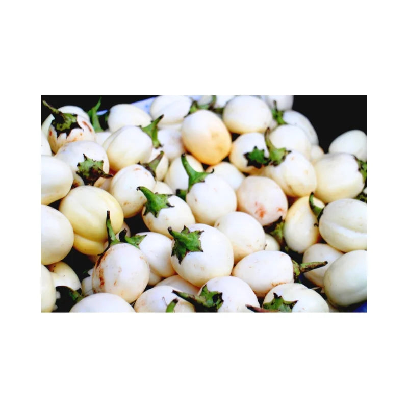 Bulk 5kg pack of White Turtle Egg Eggplant on white background — wholesale Thai eggplants for restaurants and catering.