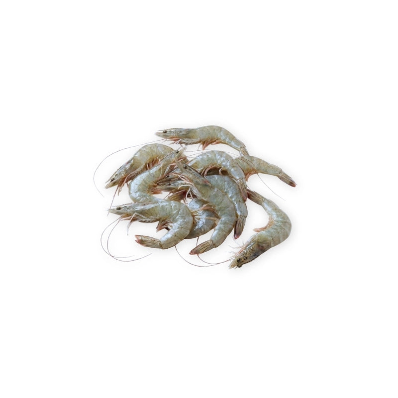 Whiteleg Shrimp Size M per kg