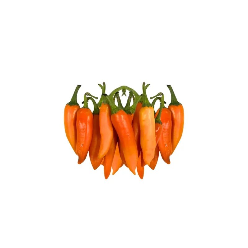 Yellow Chili Spur Peppers 500g - Bangkok FreshLink