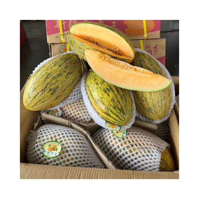 แตงเหลือง ต่อกล่อง