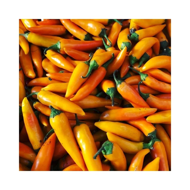 Yellow Chili Spur Peppers Per kg - Bangkok FreshLink