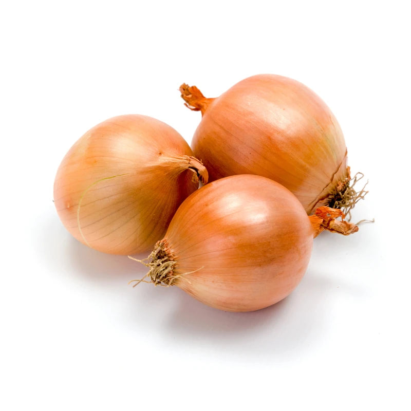 Yellow Onion 3-4/kg 5kg/Bag