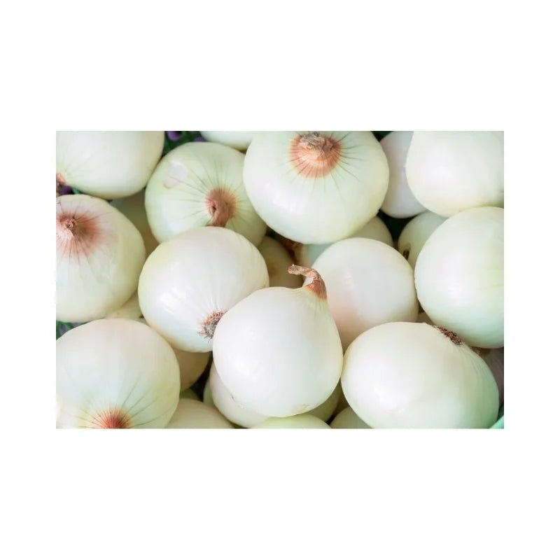 Fresh peeled yellow onions, ready-to-use onion bulbs, 5kg bulk pack isolated on white background