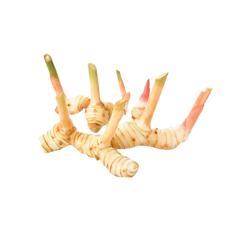 Young Galangal 250g