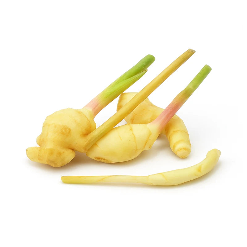Young Ginger Per kg