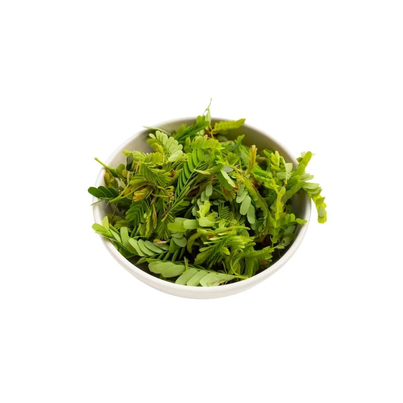 Fresh Young Tamarind Leaves 250g pack on white background — aromatic tamarind leaves for authentic Thai and Lao dishes.