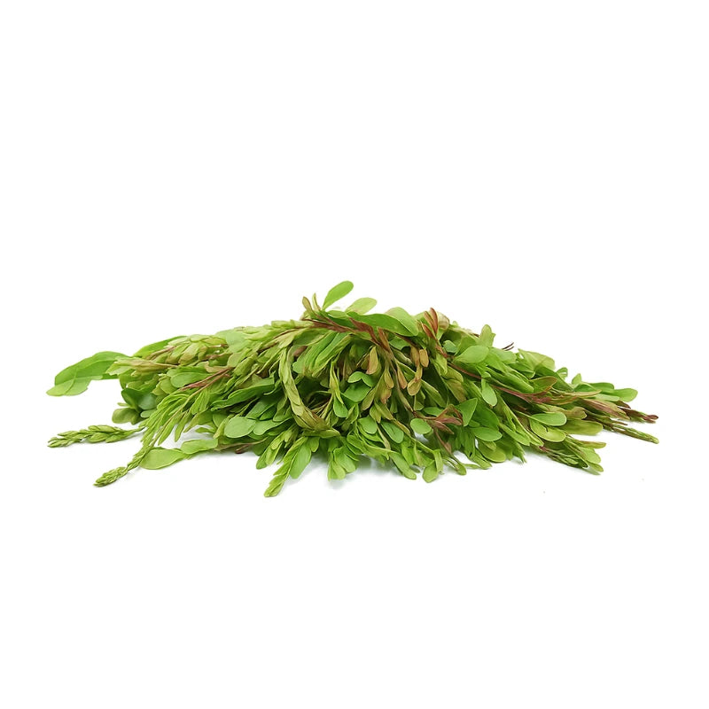 Young Tamarind Leaves Per kg