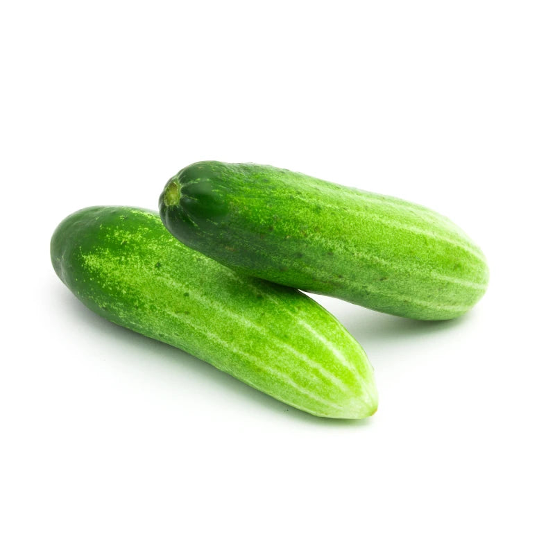 Thai Cucumber (Dang Ran) Premium Size, 10kg per Bag