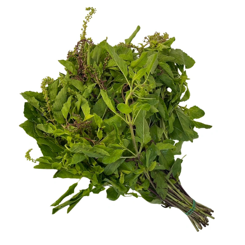 กระเพราก้านแดง กก.ละ