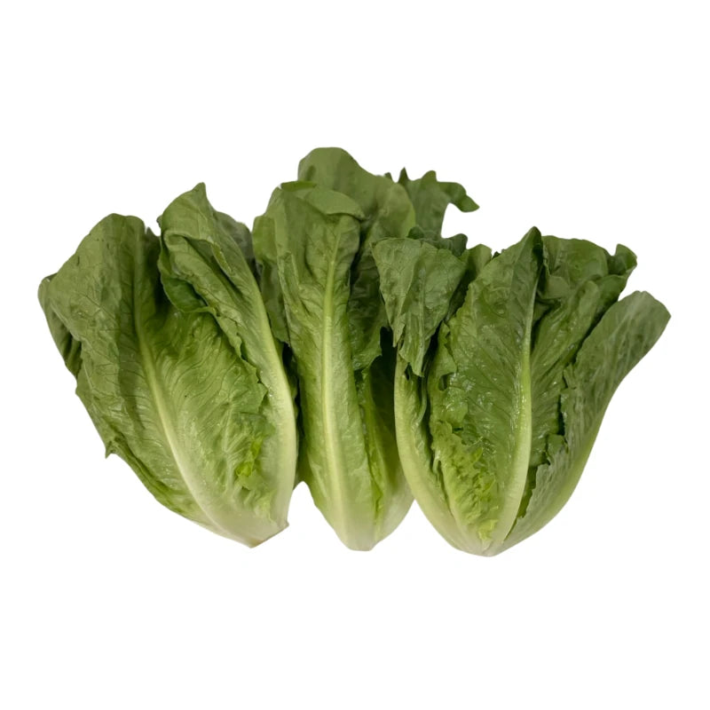 Romaine Lettuce Per kg