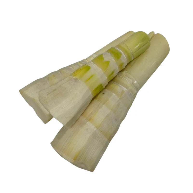 Sweet Bamboo Shoot Peeled, Large Size Per kg