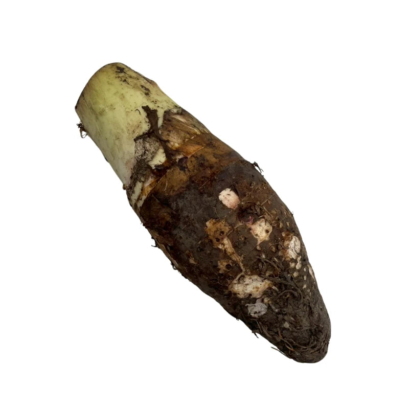 เผือก 0.8-1 กก./หัว กก.ละ