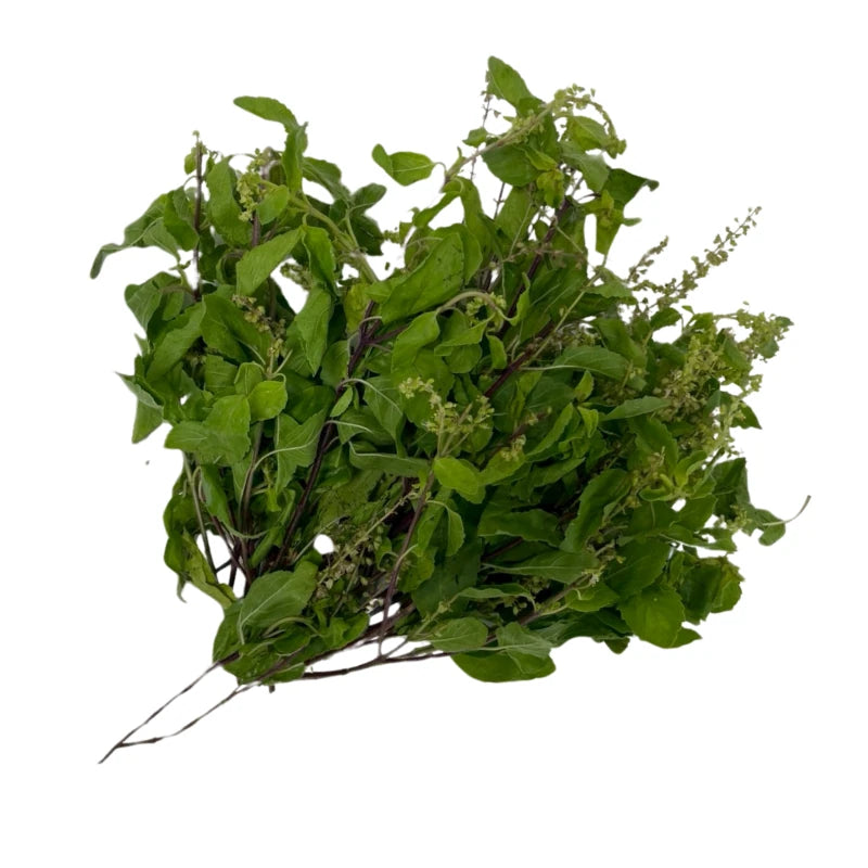 Thai Holy Basil Per kg
