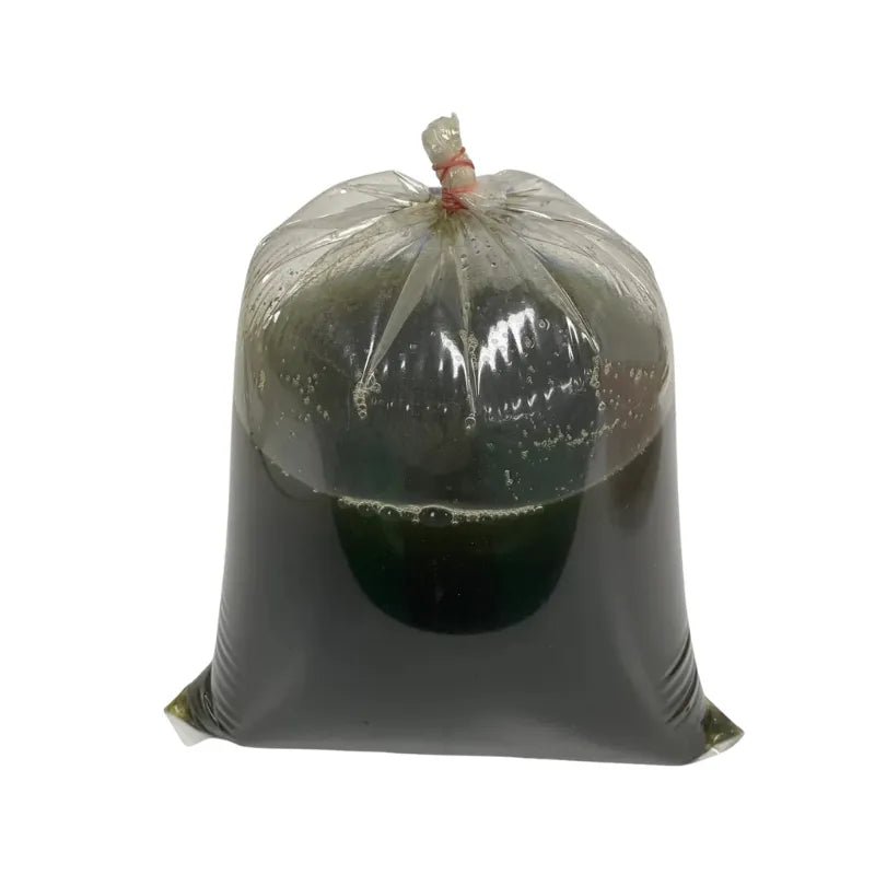 Yanang Leaf Juice Per kg - Bangkok FreshLink