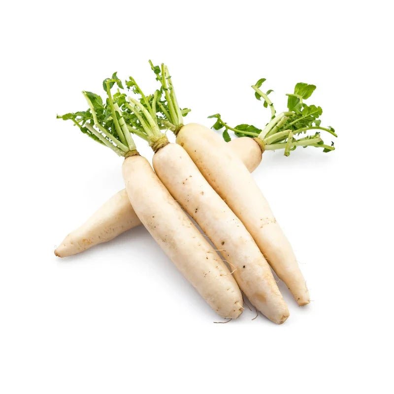 Organic Vegetables - Bangkok FreshLink