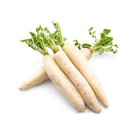 Organic Vegetables - Bangkok FreshLink