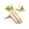 Organic Vegetables