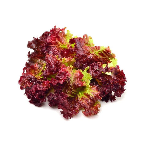 Salad Vegetables - Bangkok FreshLink