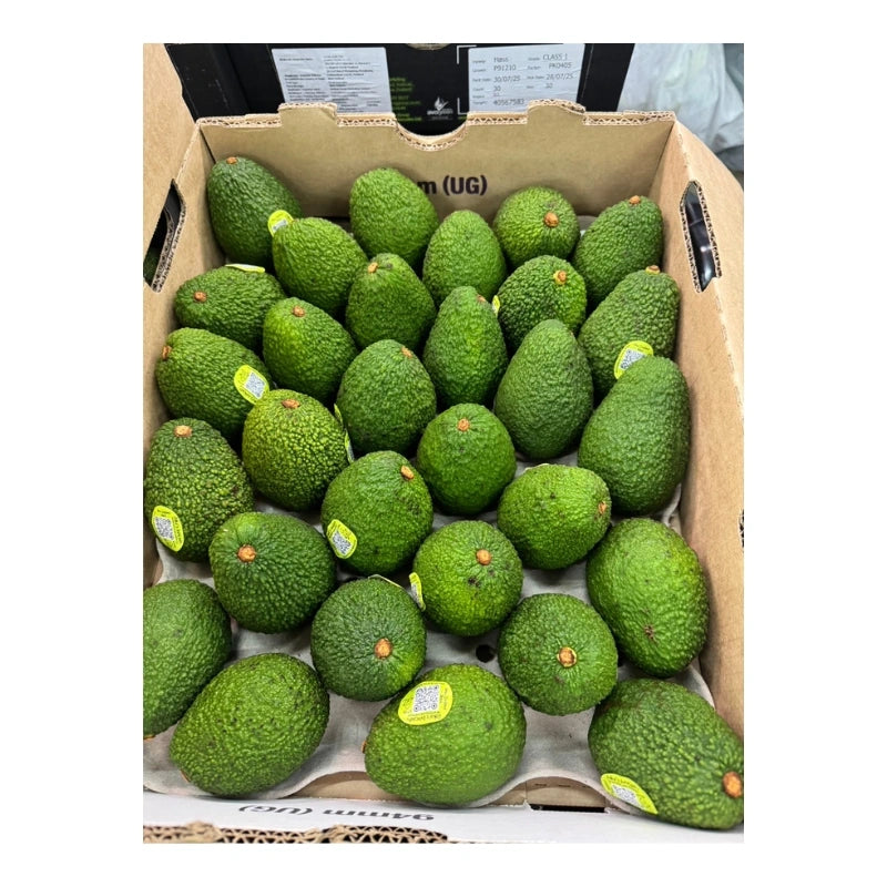 อโวคาโด นิวซีแลนด์ ตรา Jake's Avocado เบอร์ 30
