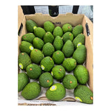 อโวคาโด นิวซีแลนด์ ตรา Jake's Avocado เบอร์ 30