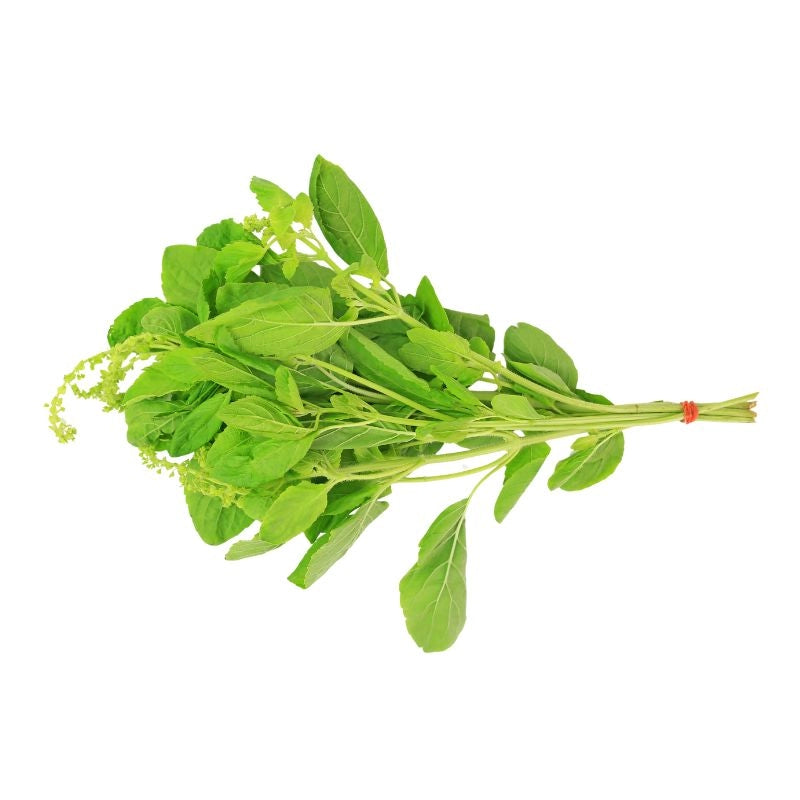 White Basil Large Leaves 500g
