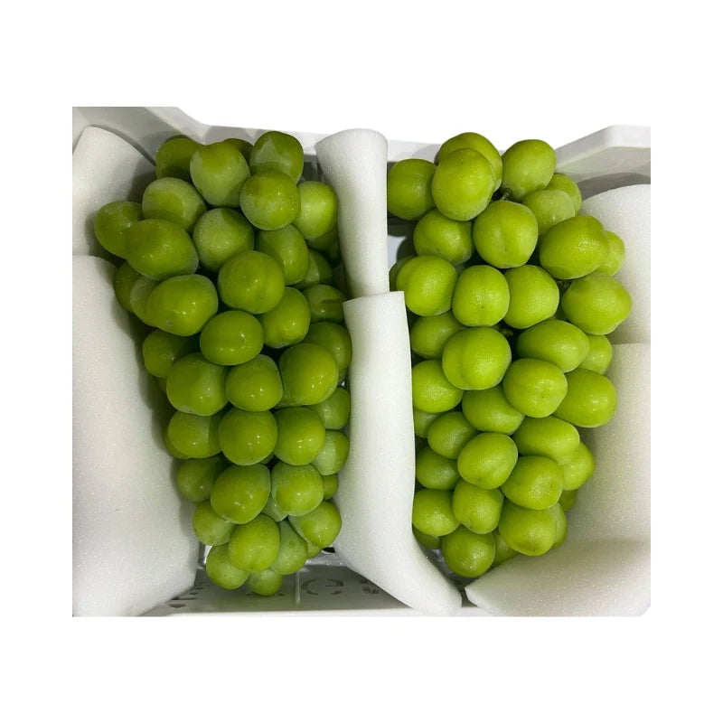 AQ Brand Shine Muscat Grapes 3 Bunches (Total Weight Including Basket 4.8kg)